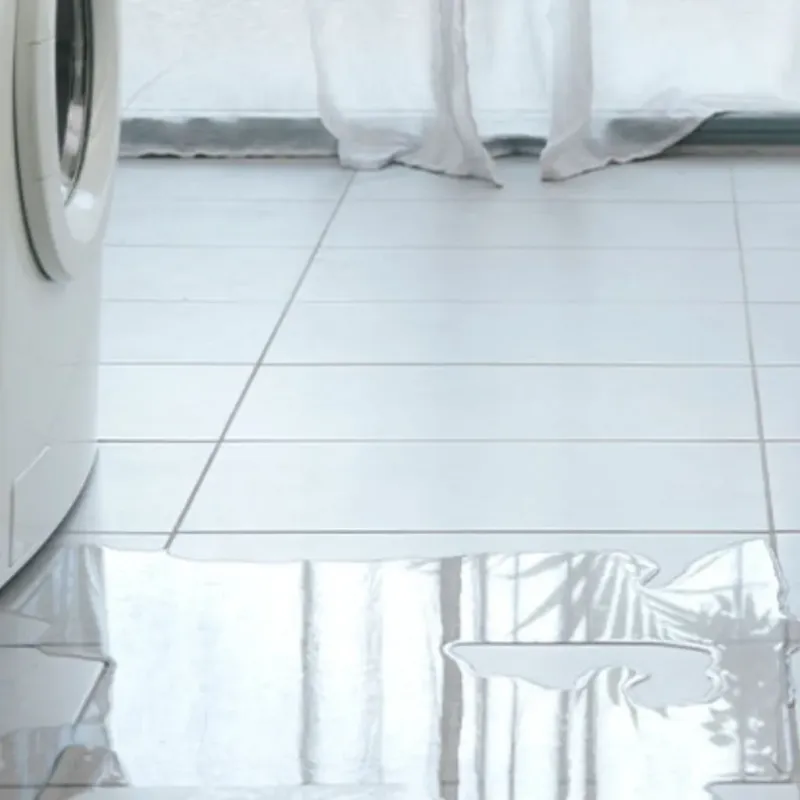 Appliance Leak Cleanup in Westby, WI