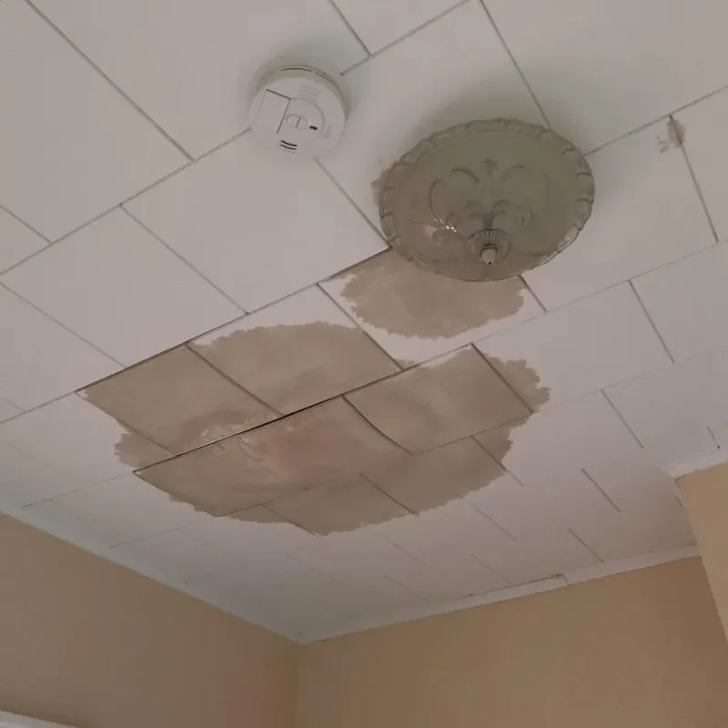 Ceiling Water Damage Repair in Westby, WI