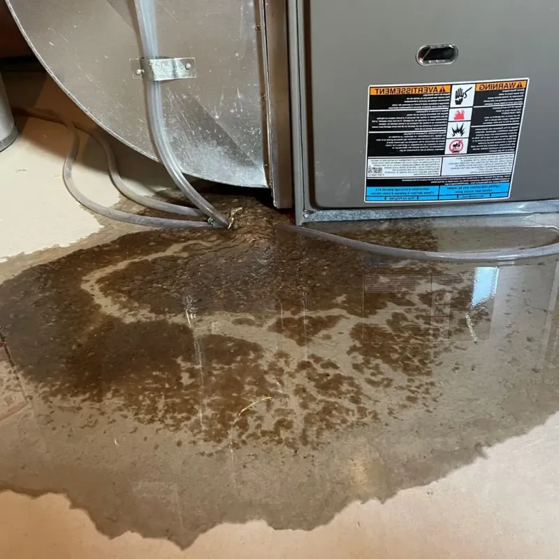 Pipe Burst and Leak Restoration in Westby, WI
