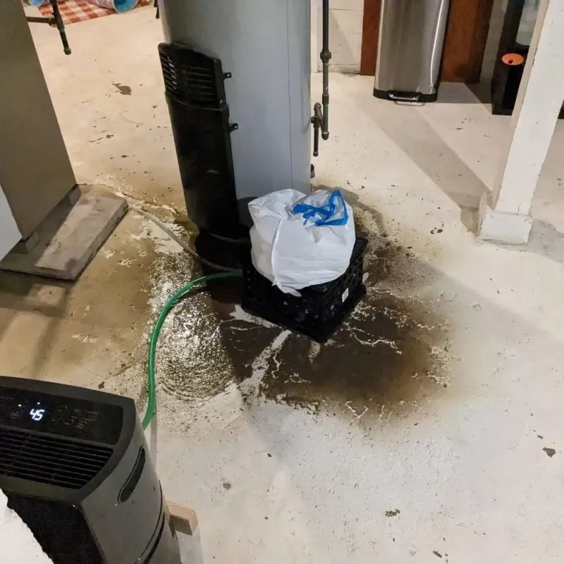 Sewage Backup Cleanup Service in Westby, WI